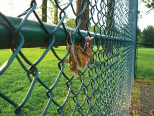 fencing pvc mesh link